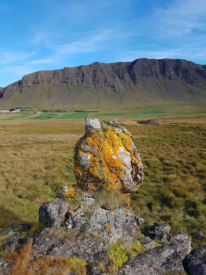 Miðjanes Reykhólahrepp Casa de hóspedes Reykholar Exterior foto