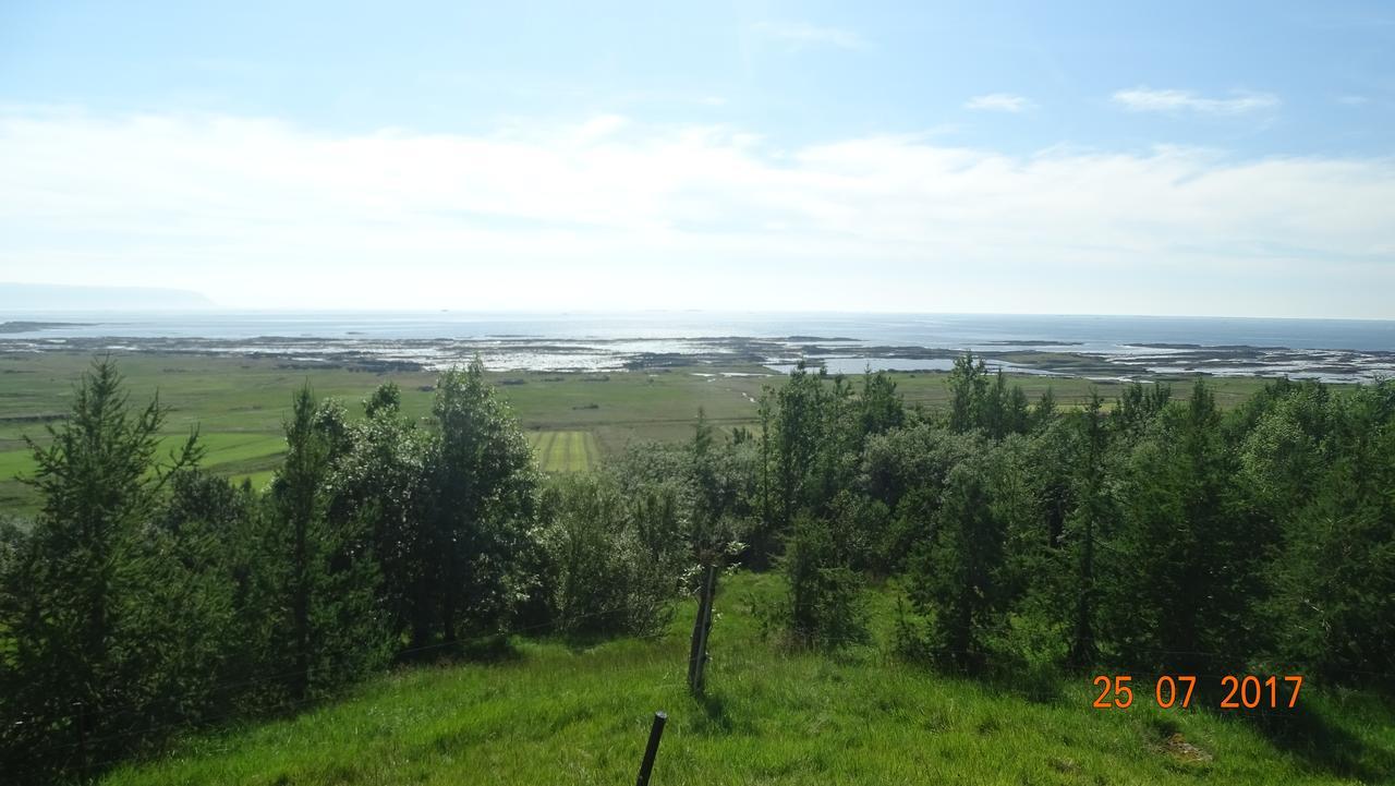 Miðjanes Reykhólahrepp Casa de hóspedes Reykholar Exterior foto