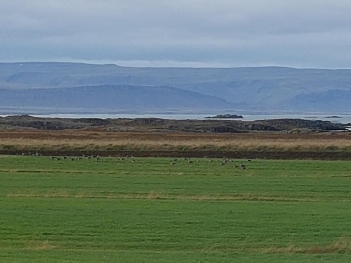 Miðjanes Reykhólahrepp Casa de hóspedes Reykholar Exterior foto