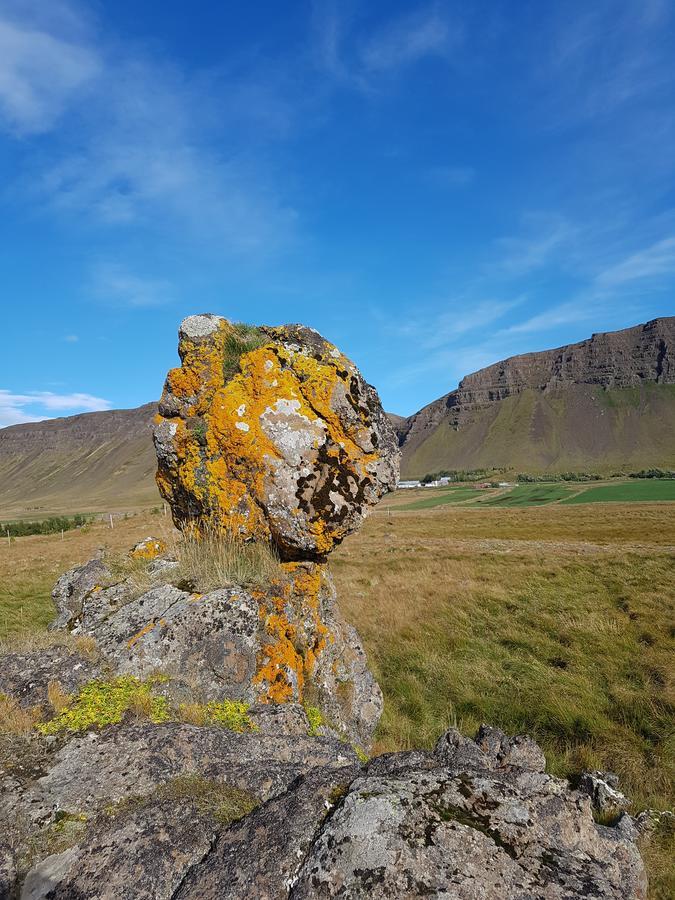 Miðjanes Reykhólahrepp Casa de hóspedes Reykholar Exterior foto