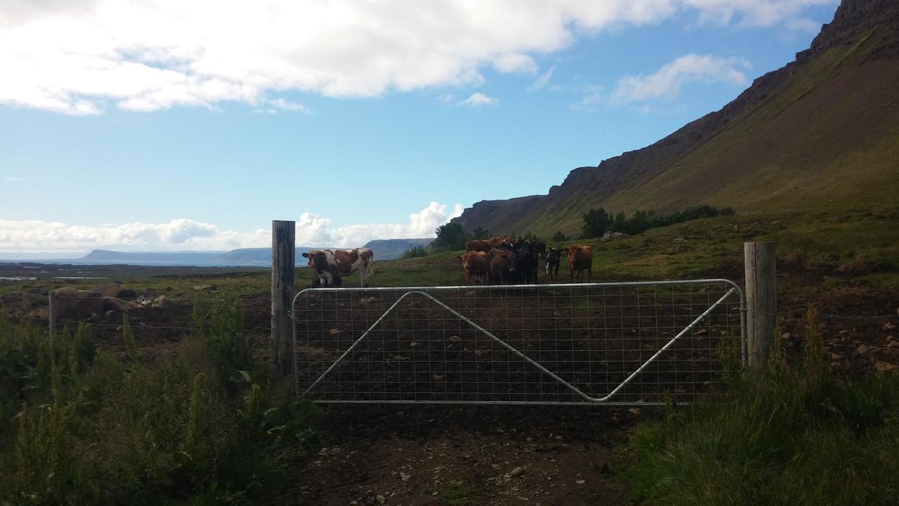 Miðjanes Reykhólahrepp Casa de hóspedes Reykholar Exterior foto